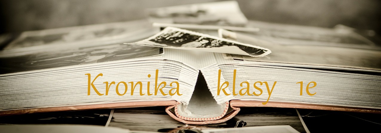 zdjęcie prezentujące otwartą księgę i napis: "Kronika klasy 1e"