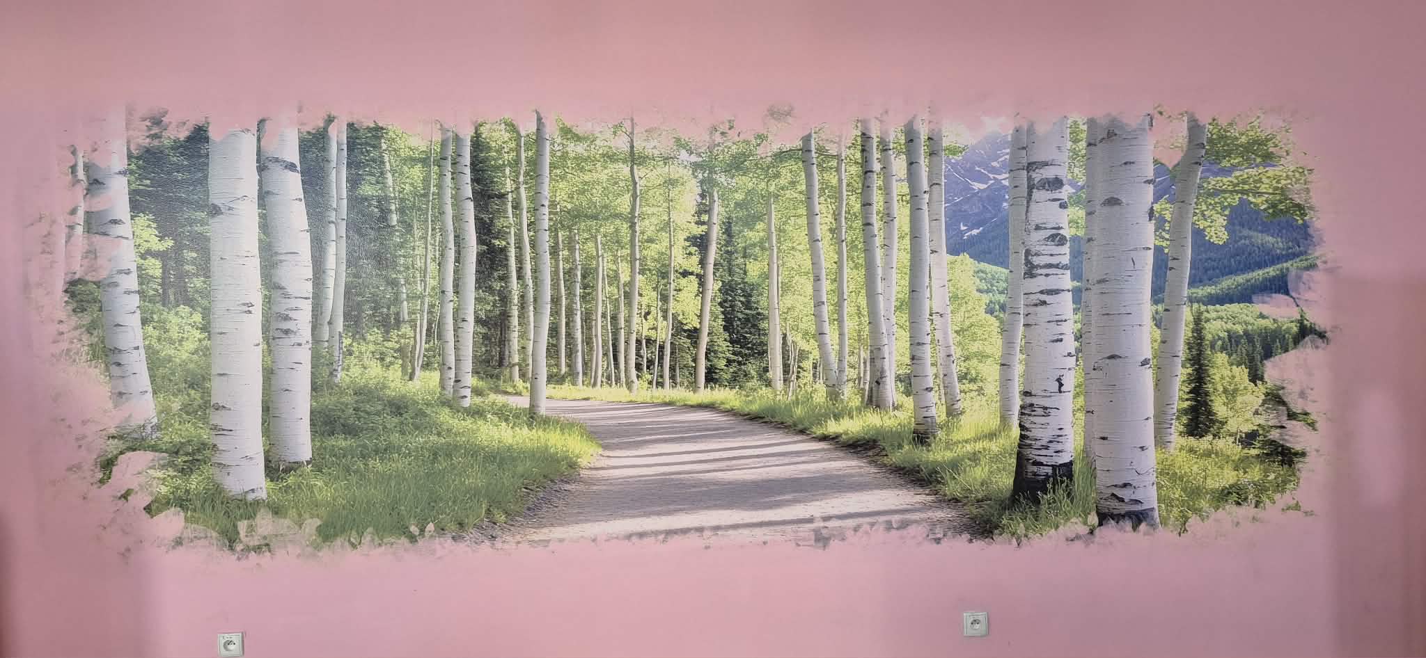 Nasza szkoła pięknieje! 